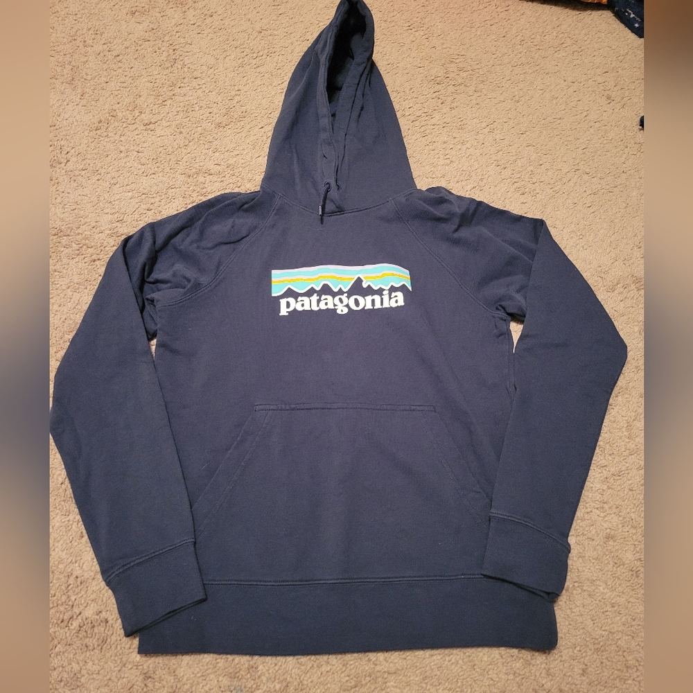 Patagonia hoodie